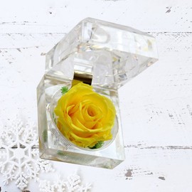 Rosa Eterna De Flores Conservadas Con Caja De Regalo Para Mujer - Regalo Ideal Para San ValentíN, CumpleañOs Y Aniversarios (Amarilla)