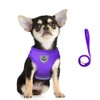 FEimaX No Pull Small Dog Harness and Leash Set, Soft