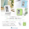 Shinwa Sokutei Digital Thermometer/Hygrometer, Home A, Green, Clear Pack 73049