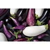 RAISE ME UP: Seeds Eggplant Long Mix Non GMO Heirloom