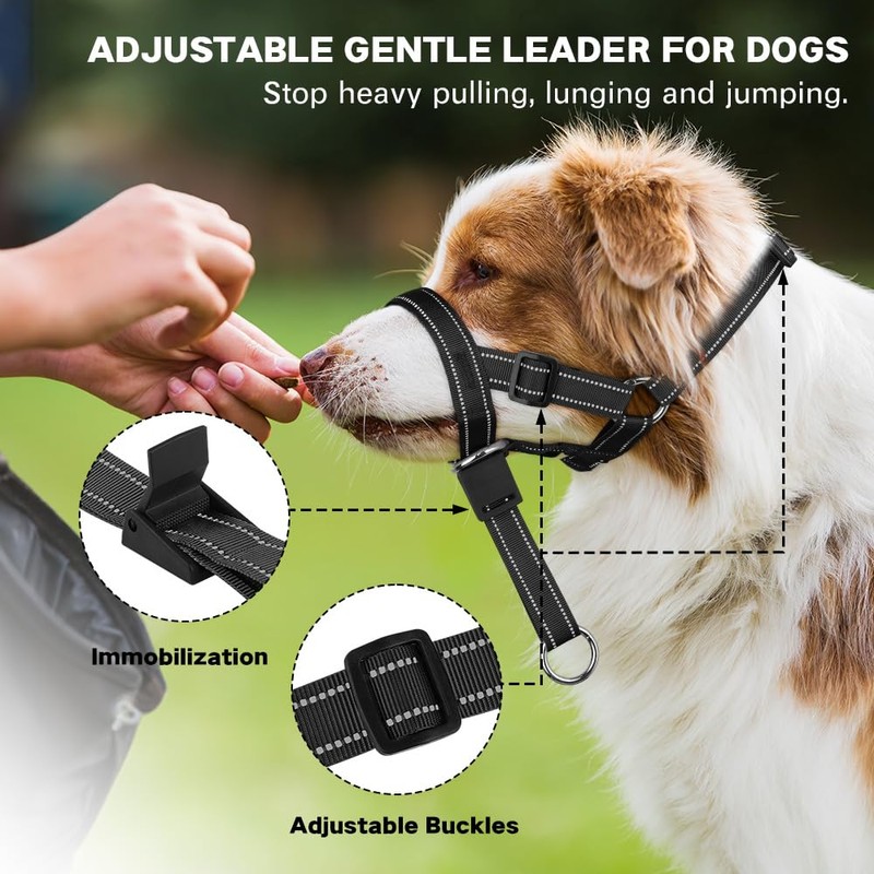 DOMIGLOW No-Pull Dog Headcollar - Reflective Head Halter Collar for