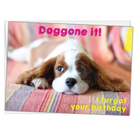 Glory To Dog Doggone It! I Furgot Your Birthday 7-by-5 Inches Belated Birthday Card (with a cute Cocker Spaniel) including Greeting Card Mailing Envelope…
