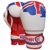 Farabi Boxing Gloves Kids Junior Flag Series Training Bag Pads