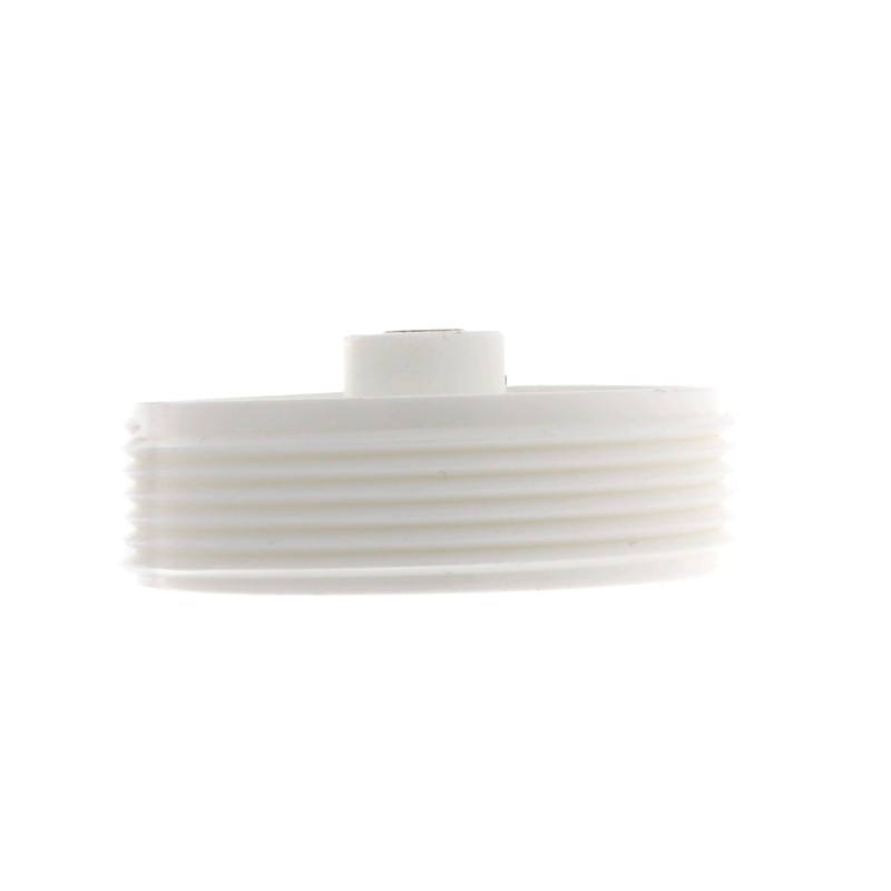 Sioux Chief 2 in. MPT in. PVC Clean-Out Plug