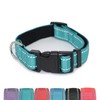 Pet & Posh Reflective Dog Collar - Premium Neoprene Padded