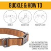 Carhartt Field - Collar para Perro, Totalmente Ajustable, Tela Duradera