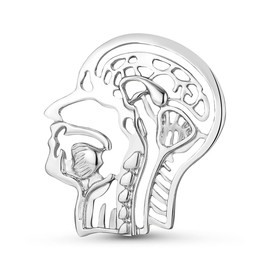 Dr's gift Anatomy Skull Pin Medical Enamel Brooch Anatomy Hollow Pin Otolaryngology Brain Brooch Jewelry Backpack Lapel Badge for Doctor Nurse Simple Gifts