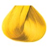 Red by Kiss Tintation Semi-Permanent Hair Color, Aloe Vera Water