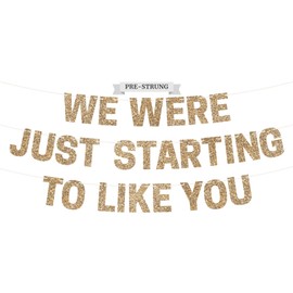 Pre-Strung We Were Just Starting To Like You Banner - NO DIY - Gold Glitter Going Away Party, Funny Retirement Banner - Pre-Strung on 10 ft Strands - Farewell Decorations for Men & Women - No DIY