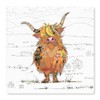 Bug Art Coaster Hamish Highland Cow