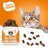 Daily Probiotics for Cats - 90 Salmon Flavored Soft Chews
