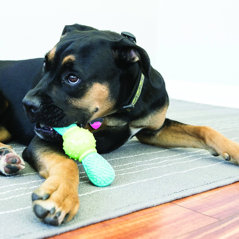 KONG - CoreStrength Bow Tie - Long Lasting Dog Dental