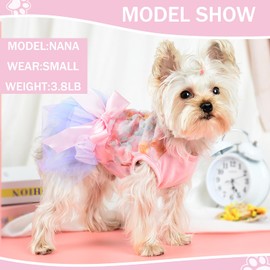Dog Dress for Small Dogs, Puppy Costume Clothes Girls Pet Clothing Outfit Summer Spring Dresses Chihuahua Yorkie Cat Apparel