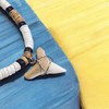 BlueRica Shark Tooth on Puka & Tiger Brown Coconut Shell