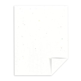 Wausau Papers Astrobrights Stardust White Cardstock 65 lb Multi Color Flecked 8.5 x 11 Inches