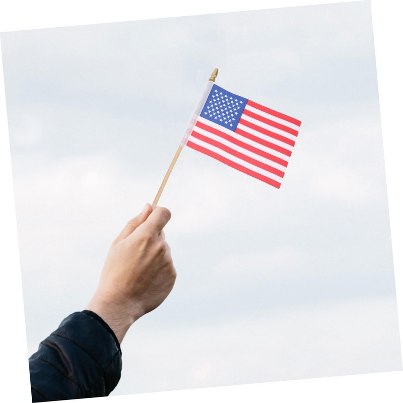 Kisangel 40pcs Small American Flags Sticks Usa Flags for Independence