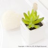 OKA PLYS Pris Green with Small Bird Stick Fuser, Fake