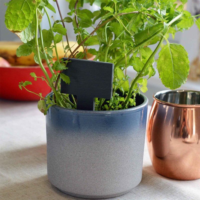 Nicola Spring Natural Slate Flower/Plant/Herb Square Top Label Pegs With