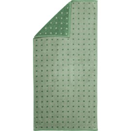 Erwin Müller Sigmaringen Bath Towel Pack of 2 Terry Jade Size 70 x 140 cm