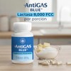 Arbora Antigas Pack Blue Green Lacteos Leguminosas Digestion