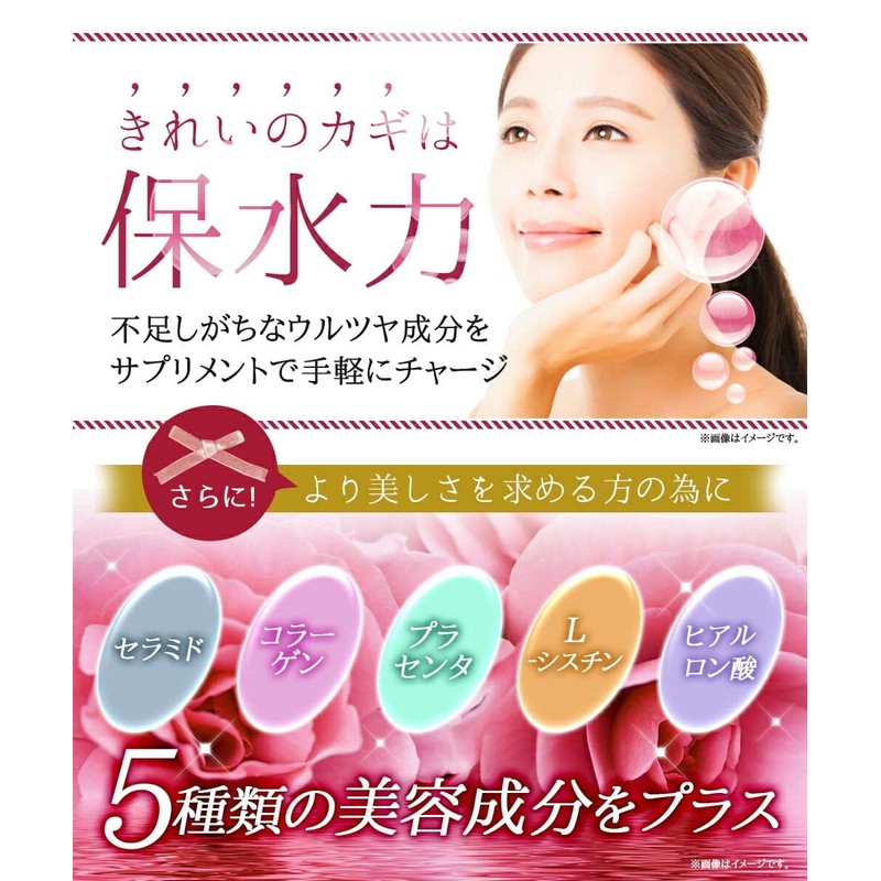 プロテオグリカン 90粒