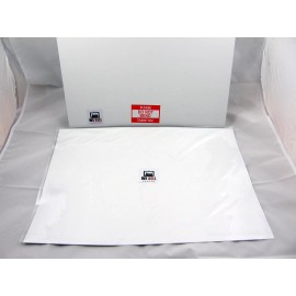 Theodore Teddy Roosevelt 13x19 Poster With the Man in the Arena Quote Close Up