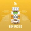 Combo Adaptógenos (frascos 100 Cap C/u)