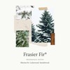 Thymes Hand Lotion - 8.25 Fl Oz - Frasier Fir