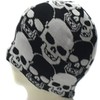 2 Brothers Unlimited Inc 2BU Black and White Skull Beanie