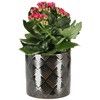 KOTARBAU® Set of 6 Dark Green Ceramic Flower Pots with