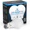 Great Eagle A19 LED Light Bulbs 100 Watt Equivalent -