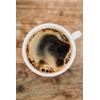 Hawaiian Paradise Coffee Chocolate Macadamia Nut Ground Coffee 12oz Bag,