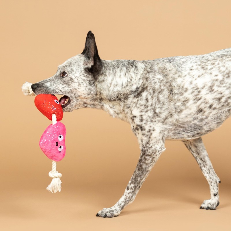 Fringe Studio Plush Dog Toy with Rope, CAN’T BE AP-Heart,