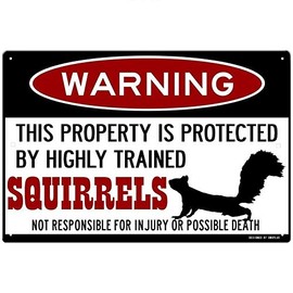 Kexle Squirrel Sign,Funny Metal Signs,Protected by Squirrels,Squirrels Warning Sign,Pet Squirrel,Beware of Squirrel Sign Tin Sign 8 X 12 Inches