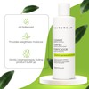 Shampoo & Conditioner Set with Hair Spray - Wig Care
