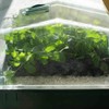 Hubey Perlite for Plants - Drainage Layer - Oxygen Storage,