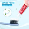 Travel Size Toothpaste in Bulk, Disposable Mini Mint Flavor Toothpaste