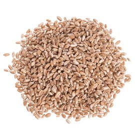 Organic Hard Red Wheat Berries, Non-GMO, High Fiber, Baking Grain, Bulk, 25 lb