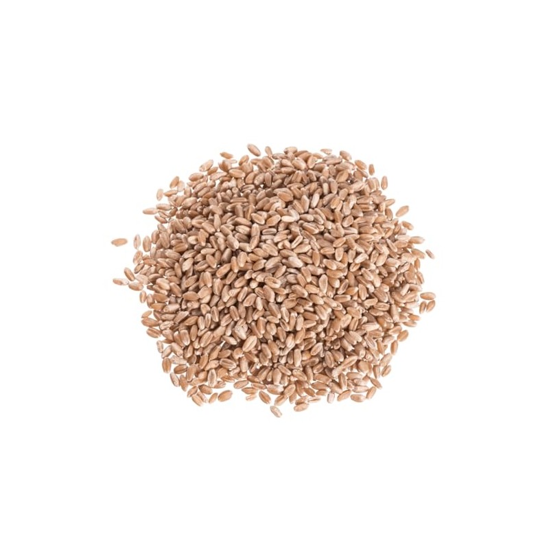 Organic Hard Red Wheat Berries, Non-GMO, High Fiber, Baking Grain,