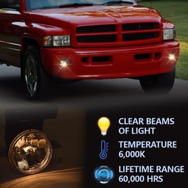 GRAND ORANGE Fog Lights Compatible with 1994-2001 Dodge Ram 1500 /Fit 1994-2002 Dodge Ram 2500 3500 Driver & Passenger Side Fog Lamps 19534501 19534601 CH2592109 CH2593109