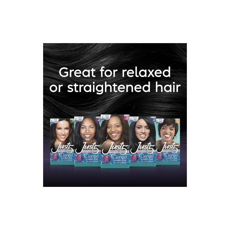 Just 5 Women's 5 Minute Permanent Hair Color, Rich Black