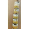 Unbranded 1 Sugar cane stick with 5 nodes for planting