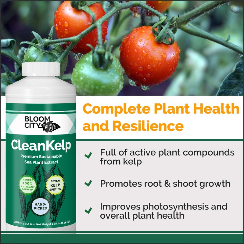 Bloom City Organic Liquid Seaweed and Kelp Fertilizer Supplement (128