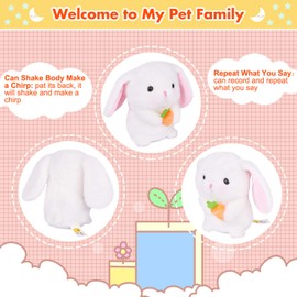 Penguin Robot Plush Stuffed Animal Interactive , Talking Pet Toy Repeat What You Say Electronic Pet, Dancing and Shaking Robotic Recording Toy, Animated Toy Pet for Girls Boys Baby Kids H: 6.3"