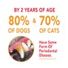 Petrodex Natural Toothpaste Dog - Peanut - 2.5 Oz