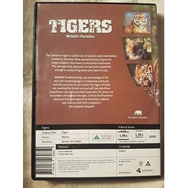 Wildlife Paradise - Tigers
