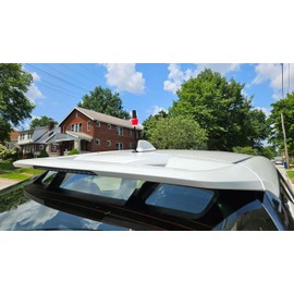 Tenna Tops Red Nail Polish Bottle Car Decor with Magnetic Car, Truck, and SUV Roof Antenna Topper Stand (Car Magnet Buddy)