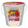 Marie Curie Planter Gift Set
