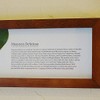 Leaf Panel Monstera II Plaque Horizontal (Brown) Leaf Frame Panel