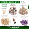 Kolt Mining Activity Dig Kit – Mother Lode Includes Fossils,